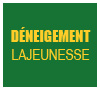 Déneigement pelouse
